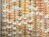 a wall with a lot of different types of food on it