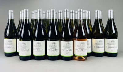 19 B Domaine de La Citadelle (blanc), Le Châtaigner, 2022
