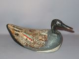 un petit canard posé sur une table