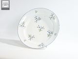 une assiette blanche ornée de fleurs bleues, posée sur une table