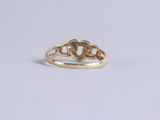 an image of a gold ring with two intertwined hearts on it