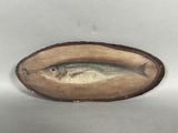 a fish that is sitting on a piece of wood