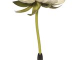a white flower that is sitting on a black stand