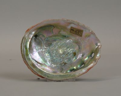 a shell shaped object that is sitting on a table