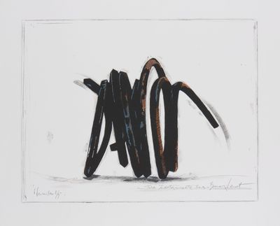 une image représentant un dessin en noir et blanc d'un lot de barrettes