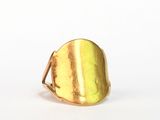 bague plaquée or sur fond blanc avec un fond blanc