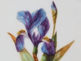 a plate with a picture of a purple flower on it