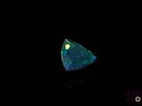 an oplite in the dark with a black background