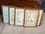 three framed pictures of birds and flowers on display in front of a chest of drawers