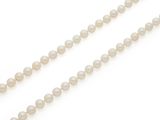 a single strand of cultured pearl beads on a white background