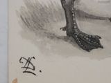 a drawing of a bird that is sitting on the ground