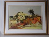 two framed pictures of trees and bushes on the wall