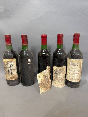 six bouteilles de vin sont alignées sur une table