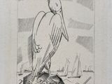 drawing of a pelican sitting on a rock with a sailboat in the background