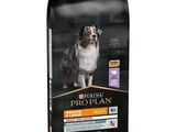 Pro Plan pour chiens adultes de grande race : agneau et riz