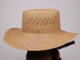 Ce chapeau est en paille et possède un large bord