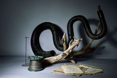 un serpent posé sur une table, à côté d'une bobine de fil
