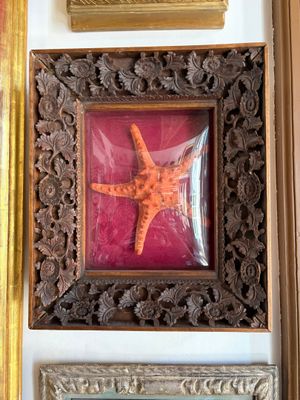 a picture of a picture of a starfish hanging on a wall