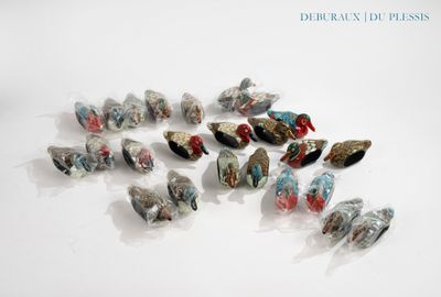 de nombreux oiseaux posés sur une surface blanche