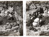 photographie en noir et blanc d'un groupe de personnes assises autour d'un tas de fruits