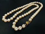 un collier de perles blanches muni d'un fermoir en or, posé sur un fond noir