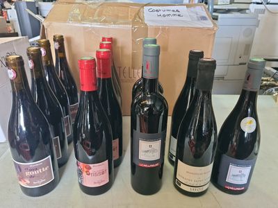 Plusieurs bouteilles de vin sont alignées sur un comptoir devant un carton.