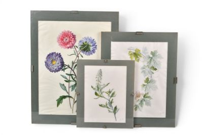 trois photos de fleurs encadrées sont exposées sur une surface blanche