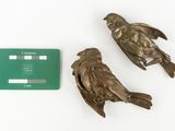 two birds sitting next to a credit card on a table
