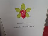 Photo 2/3 du lot