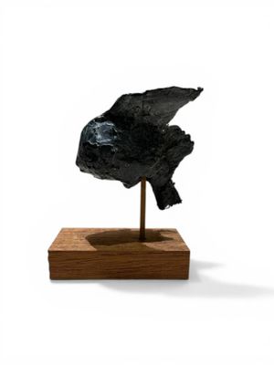 BOUCHART Jeanne (née en 1967) Poisson Bronze à patine noire …