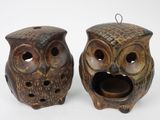 two brown owls that are sitting next to each other