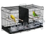 deux oiseaux qui sont posés dans une cage