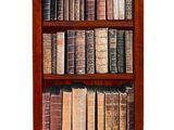 une bibliothèque sur laquelle sont posés de nombreux livres anciens
