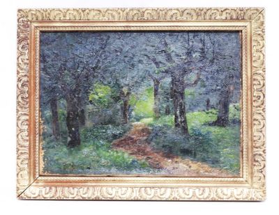 École du XXe sicèle. Paysage forestier. - Photo 1