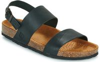 Sandales noires dream in green