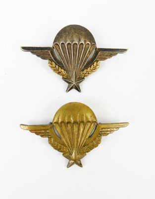 deux insignes militaires ornés d'ailes et d'une étoile sur fond blanc