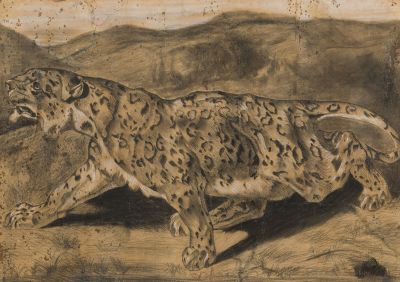 an image of a drawing of a snow leopard running in the wild
