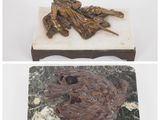 deux photos d'une statue représentant un homme tenant une épée et un oiseau, posée sur un socle en marbre