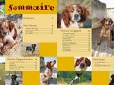many pictures of dogs that are on this page
