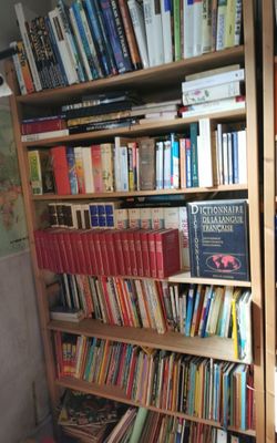 une étagère avec de nombreux livres dans une pièce