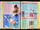 Photo 6/9 du lot