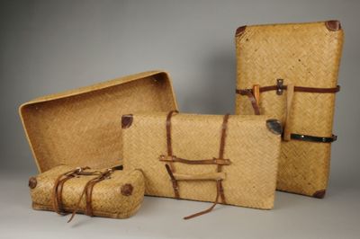 trois bagages posés les uns à côté des autres sur une table