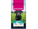 Alimentation Eukanuba pour chiens adultes de grande race