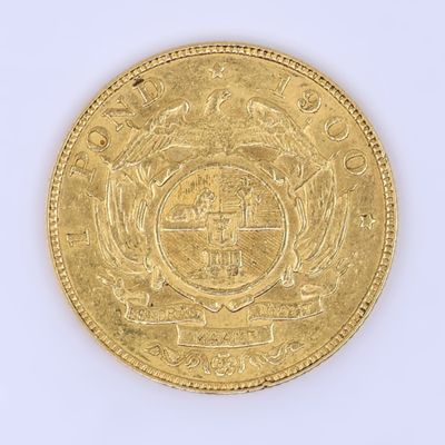 l'image d'une pièce d'or sur laquelle figurent des armoiries