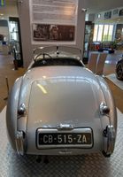 Jaguar (photo 4)