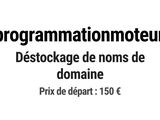 Photo 1/1 du lot