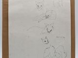 drawing of a group of cats on a piece of paper