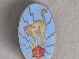 a picture of a pin with a cat on it