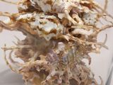 a glass jar filled with a bunch of sea shells