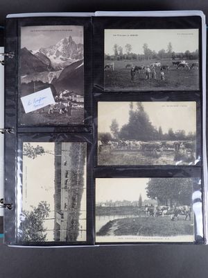 1 collection vrac dans 2 cartons avec dans une boite des car…